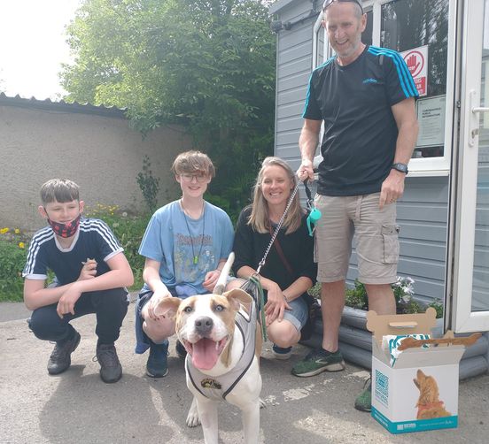 The face of a dog who is having the #bestdayever - the day he got #adopted! Good luck in your new home Cookie ❤ #rescuedog #dogsoftwitter #rescuedismyfavouritebreed