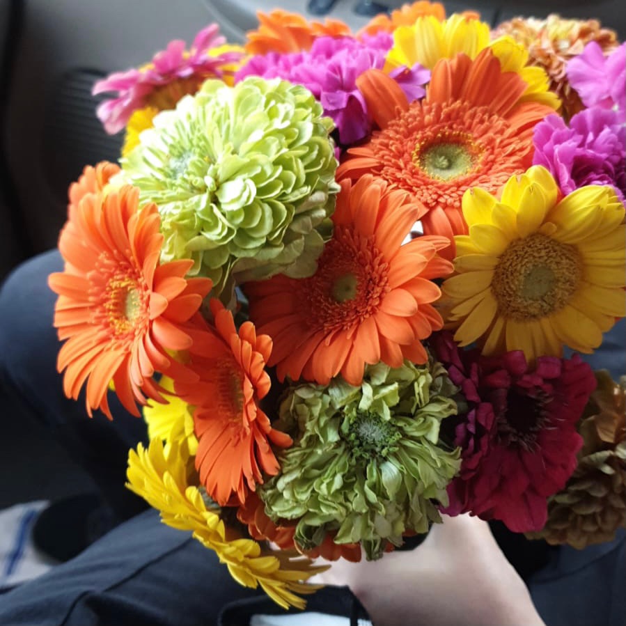 fiestasloscabos's tweet photo. Bright colored flowers, streamers, piñatas, and all the fun brought to you by Fiestas Los Cabos 🥳
Collab with @impalacabo
#cabobirthday
#fiestasloscabos
#eventplanner
#birthdayinmexico
#birthdaycelebration
#birthdaydecor
#loscabos
#caboevents https://t.co/bkKkzFxXJy