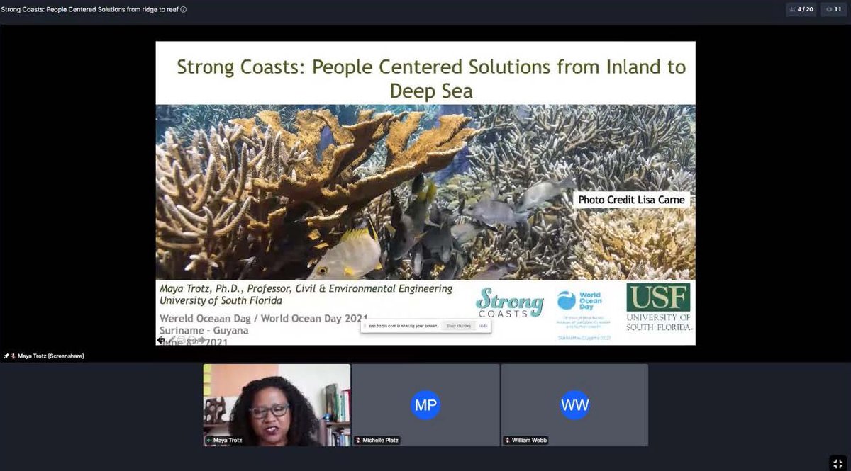 Strong Coasts tweet media