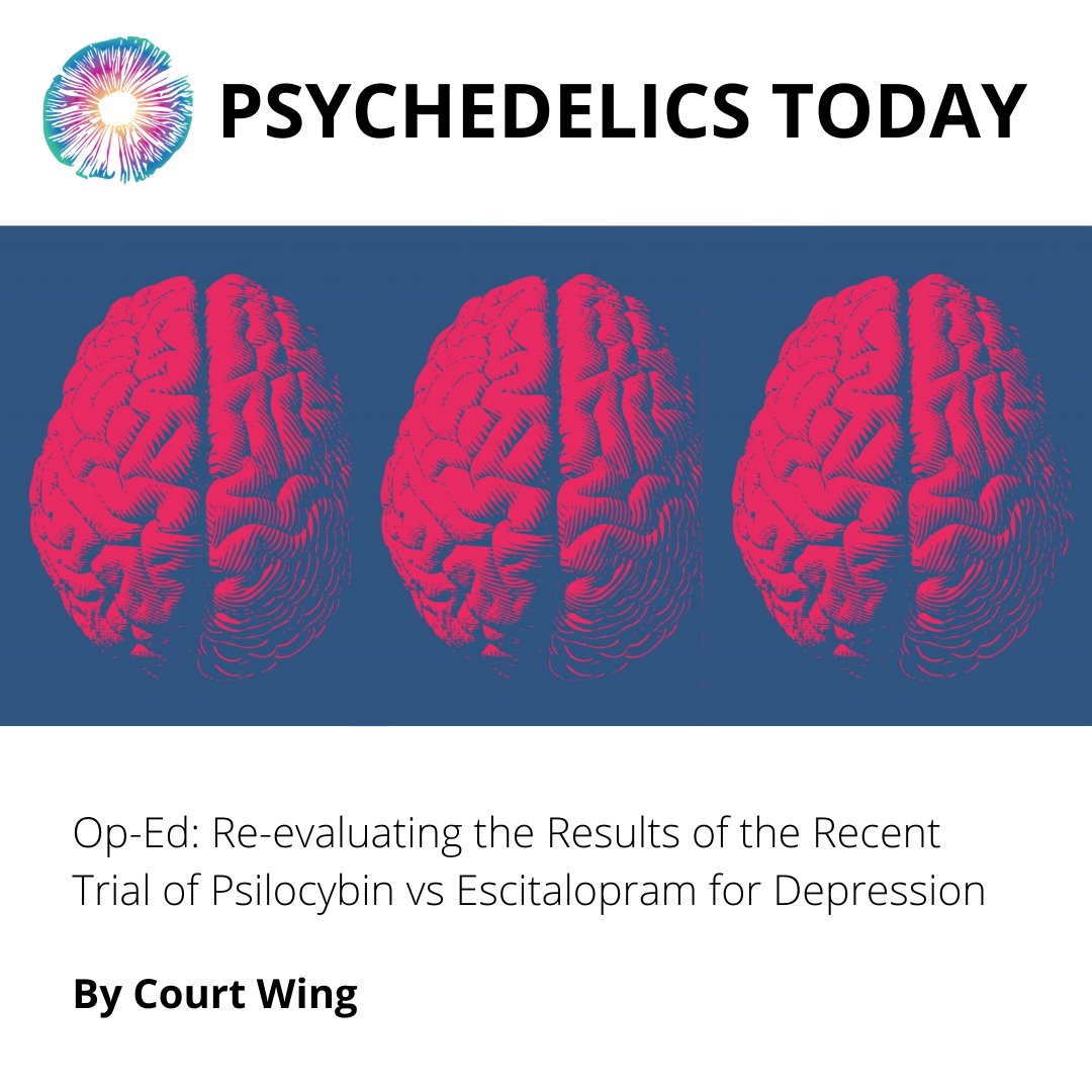PsydelicsToday's tweet photo. New blog!
Today in the blog we have an Op-Ed that examines the results of a recent trial in the New England Journal of Medicine on psilocybin versus a leading SSRI for depression.
Check it out: https://t.co/rklPq76ejd
#psychedelicresearch #psilocybintherapy #psychedelicstoday https://t.co/7LwbwlVzot