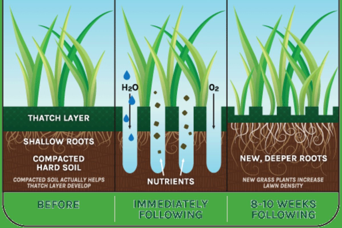Modern Turf - Rembert tweet media