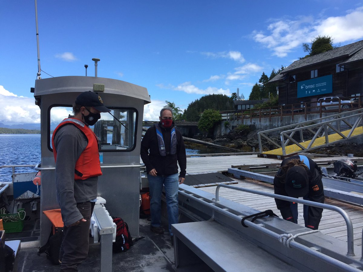 BamfieldMSC's tweet image. Preparing for #WorldOceanDay with the #BMSCLive team, @jasschuster and @ReefLifeSurvey Canada.

Starting at 12 PDT! 

Watch on our YouTube channel