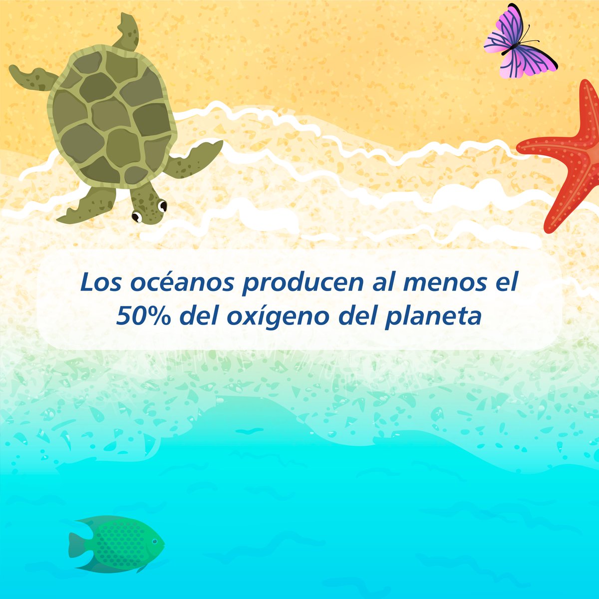 NikosCafe's tweet photo. Hoy es el día internacional de los océanos y aunque todos sabemos su importancia, queremos que conozcas algunos datos muy interesantes que quizás no sabías.

¡Cuidemos nuestro planeta!

#TodosSomosNikos #PlayasLimpias #Panamá #SabeAPanamá #CuidatePanama ⁣ https://t.co/wOvt6ZPZjP