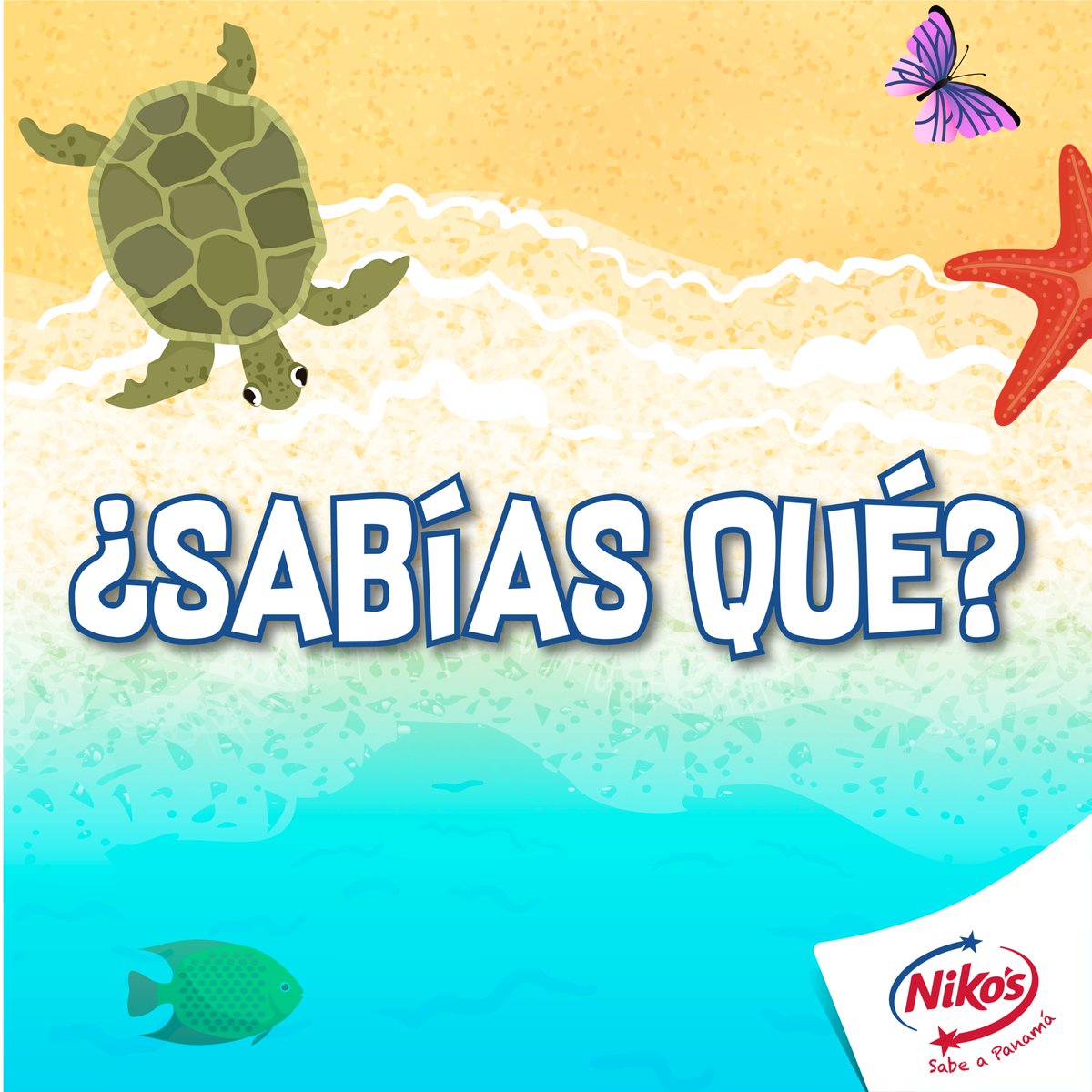 NikosCafe's tweet photo. Hoy es el día internacional de los océanos y aunque todos sabemos su importancia, queremos que conozcas algunos datos muy interesantes que quizás no sabías.

¡Cuidemos nuestro planeta!

#TodosSomosNikos #PlayasLimpias #Panamá #SabeAPanamá #CuidatePanama ⁣ https://t.co/wOvt6ZPZjP