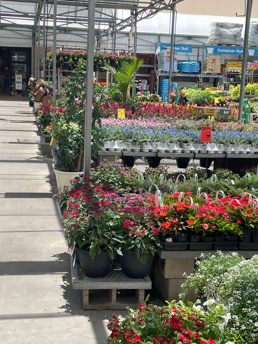 jvigil0281's tweet photo. 0281’s Garden Dept is looking pretty tight! #0281ROCKS https://t.co/psaPsfFVmO