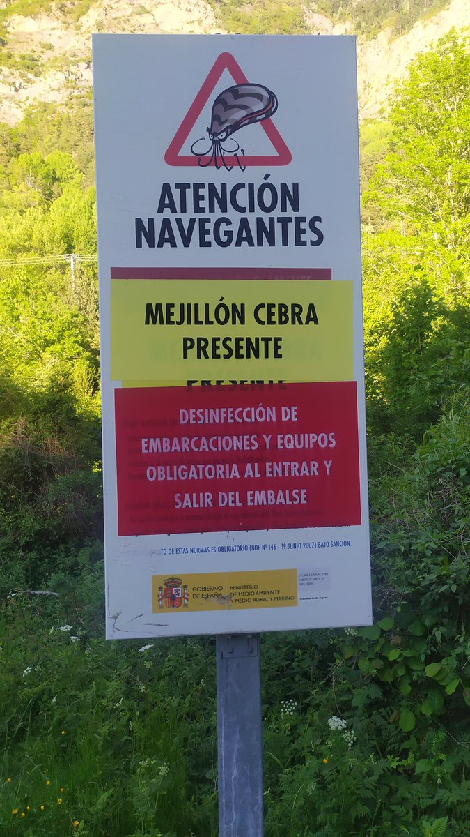antonio_gu_be's tweet photo. En la @CH_Ebro conocen muy bien la problemática de las #especies exóticas invasoras, y en especial, la del #mejilloncebra: 📸 Embalse de #Lanuza y Estanque de #BañosdePanticosa. La campaña #revisalimpiaseca del proyecto @LifeInvasaqua, es una herramienta para frenar su avance. https://t.co/ndaoMvEXtR