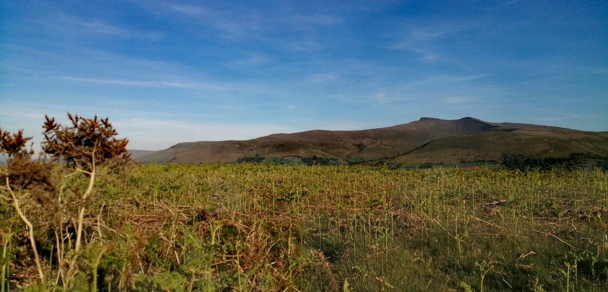 Martin Whittaker tweet media