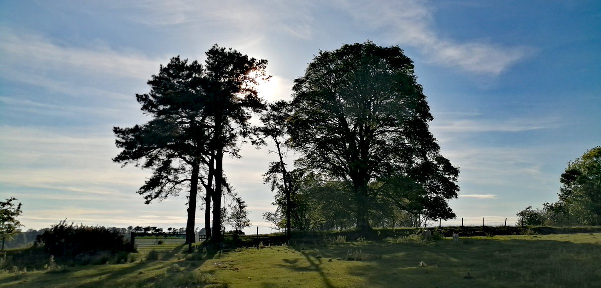 Martin Whittaker tweet media