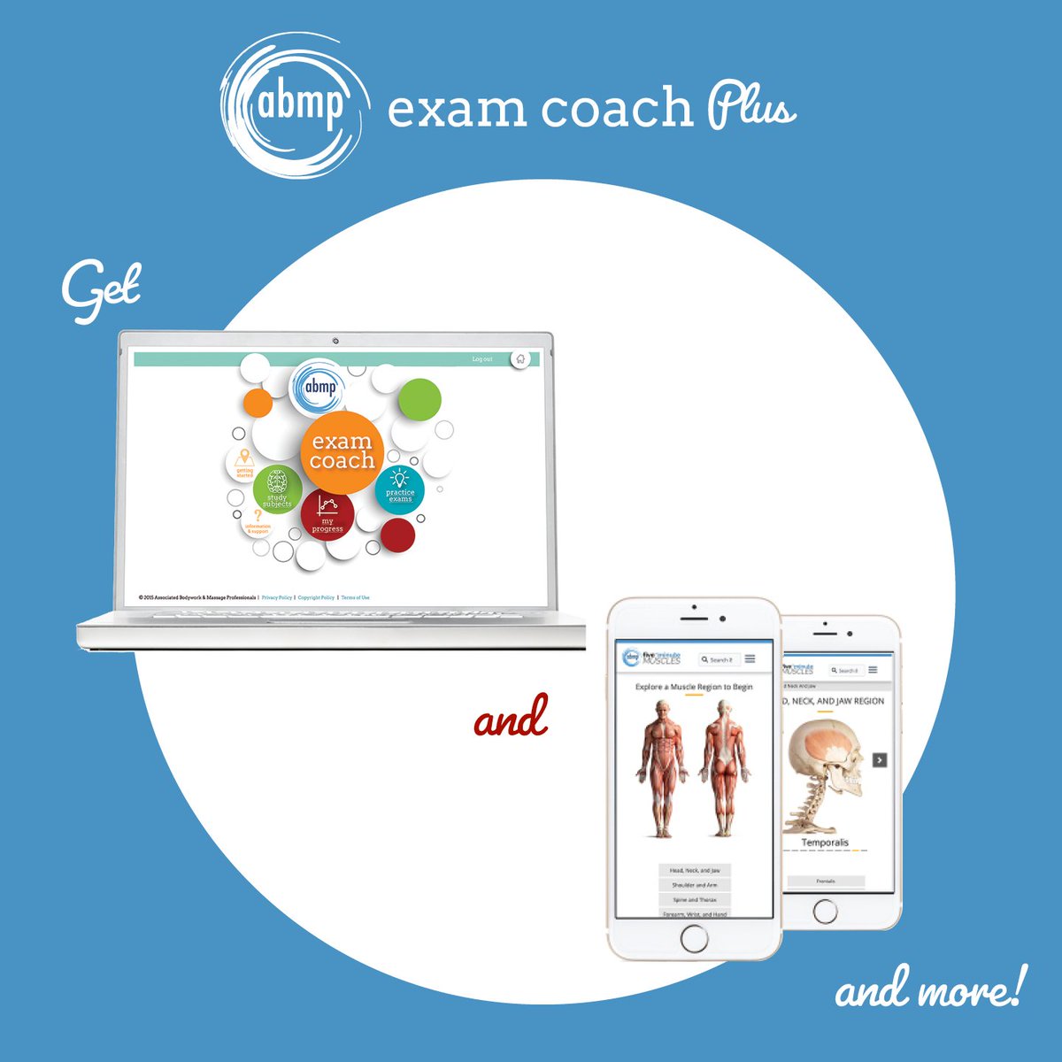 ABMPmassage's tweet photo. Have you heard about Exam Coach Plus? 👀 Find out more about it here: https://t.co/AodjXzpLma. #MBLEx #MBLExStudyGuide https://t.co/K58WT1dl9Q