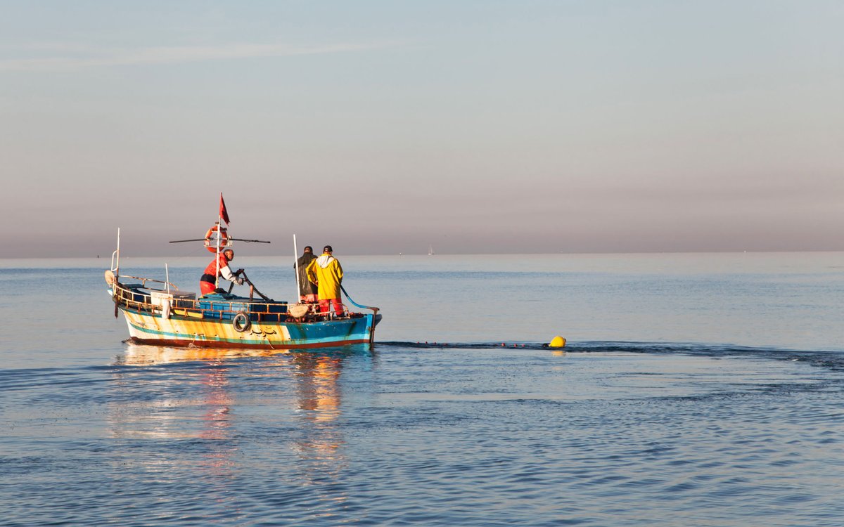 Today is #WorldOceansDay, our aim is to raise awareness of our collective impact on the ocean that we count on to sustain all life on our planet through increased visibility on the water. We must #SaveOurOceans with #traceability #oceanconservation #community #sustainability