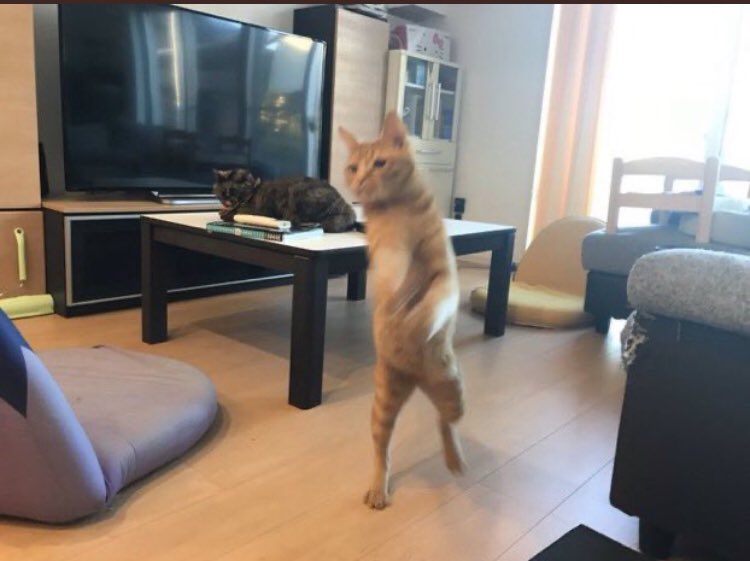 <a href="/OhHELLNawl/">toby is the scranton strangler</a> "Nvm take me to my cell. I'm tired asl"