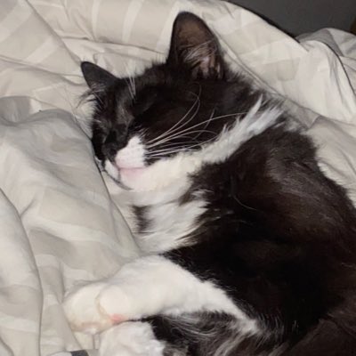 #NewProfilePic