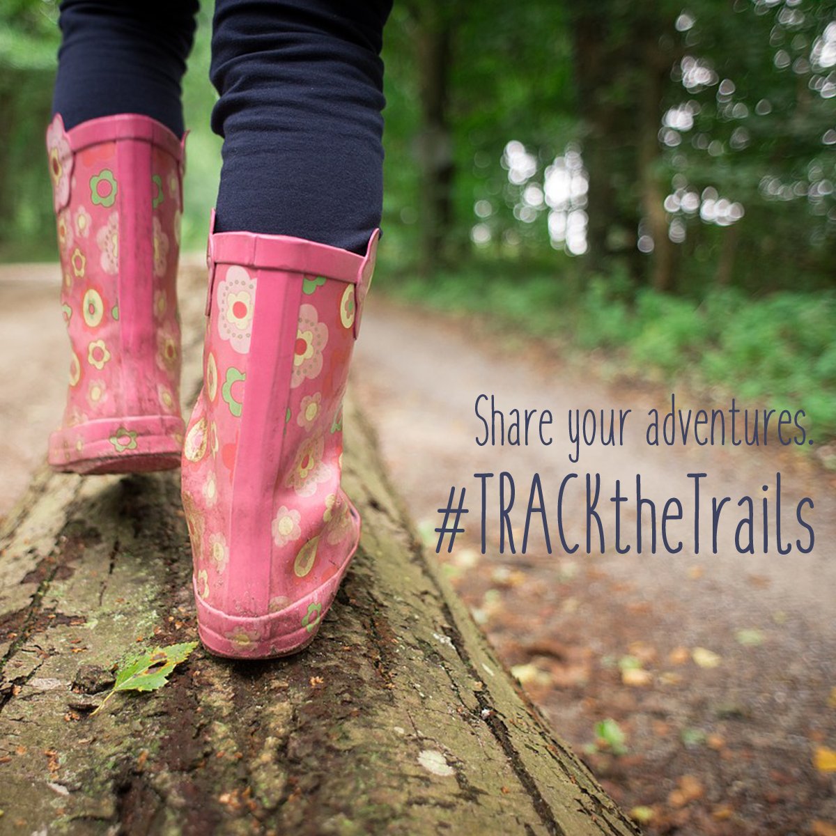 Kids in Parks tweet media