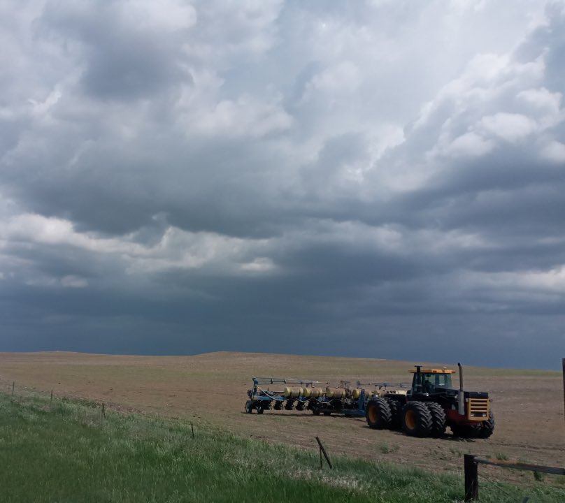 Austyn Webb tweet media