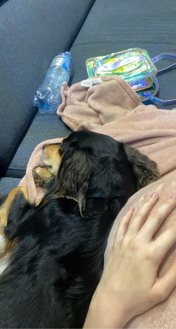 Let’s just appreciate that my dog is cuddling with me and my blanket (sorry for the mess in background