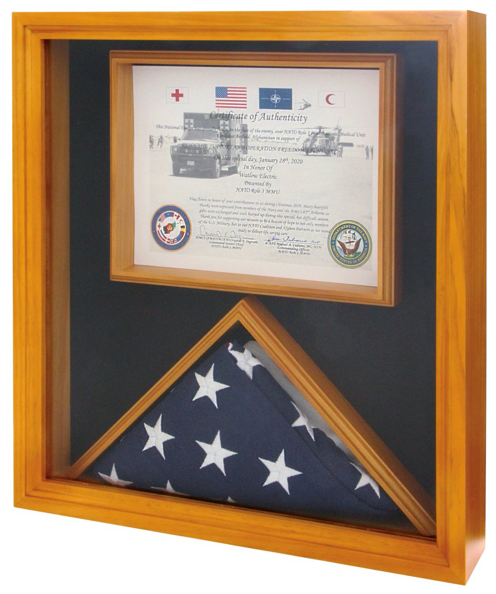 We are honored to be recognized by the NATO Role 3 MMU with a beautiful plaque and American flag. The flag presented to Watlow in appreciation of our support and partnership through A Soldier’s Wish List  and are currently displayed in our St. Louis cafe.   #LivingtheWatlowWay