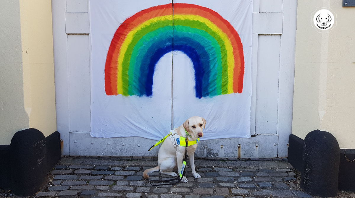 Best friends help us navigate and make sense of the world, enable us to reach our potential but most importantly they fill our lives with love and laughter.

#NationalBestFriendsDay

<a href="/guidedogs/">Guide Dogs</a> @NinaLVilla <a href="/BlondeHistorian/">Dr Amy Kavanagh</a>