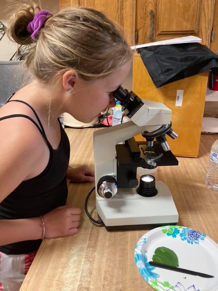 ElliottLeiann's tweet photo. #ScienceWeek #EarlyChildhoodEducation #summerFun #kidsLoveLearning #microscope #magnifyingGlass https://t.co/v2wtScYRLM