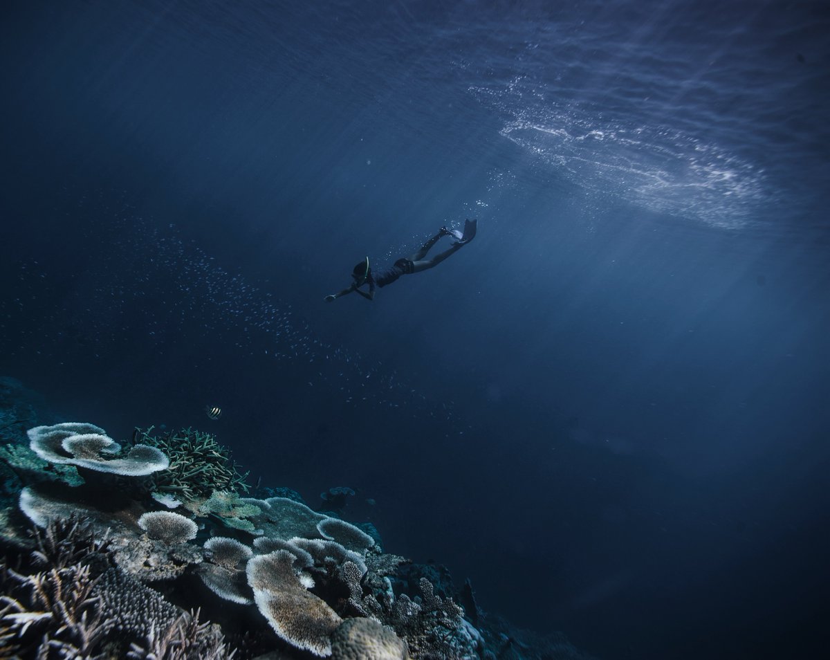 parleyforoceans's tweet photo. ⁠We are all capable of change. Anything is possible when we apply our hearts, minds and imaginations to demand better of ourselves, each other and the world we collectively create.⁠⁠

Whoever you are, wherever you are on this journey, we're connected. Happy #WorldOceansDay.
💙 https://t.co/qLnQq8nRpJ