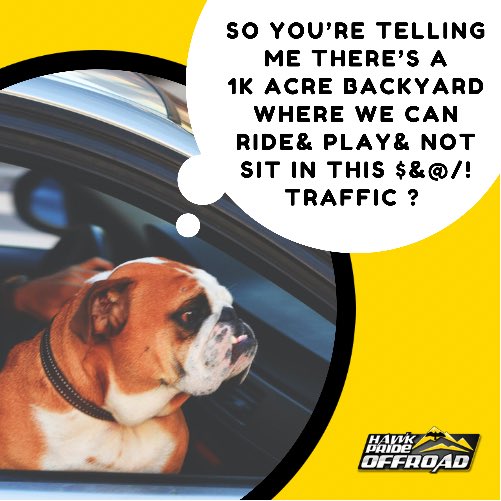 HawkPrideMount (@hawkpridemount) on Twitter photo 