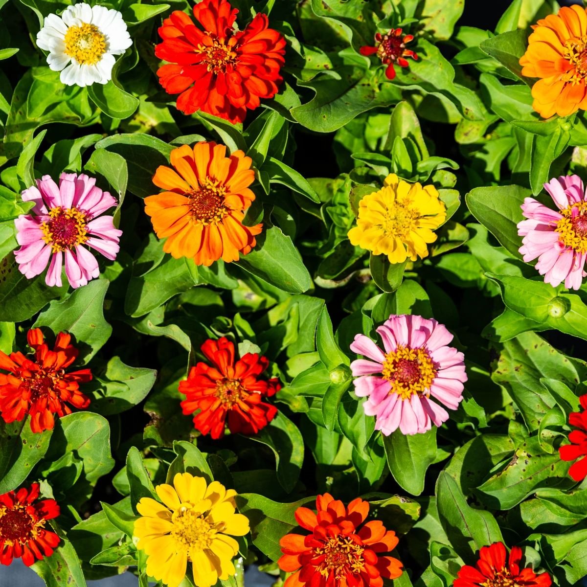 April's showers may have brought more than May flowers throughout this spring. If the heavy rains of spring have caused a leaky roof, give us a call: (303) 660-9394.