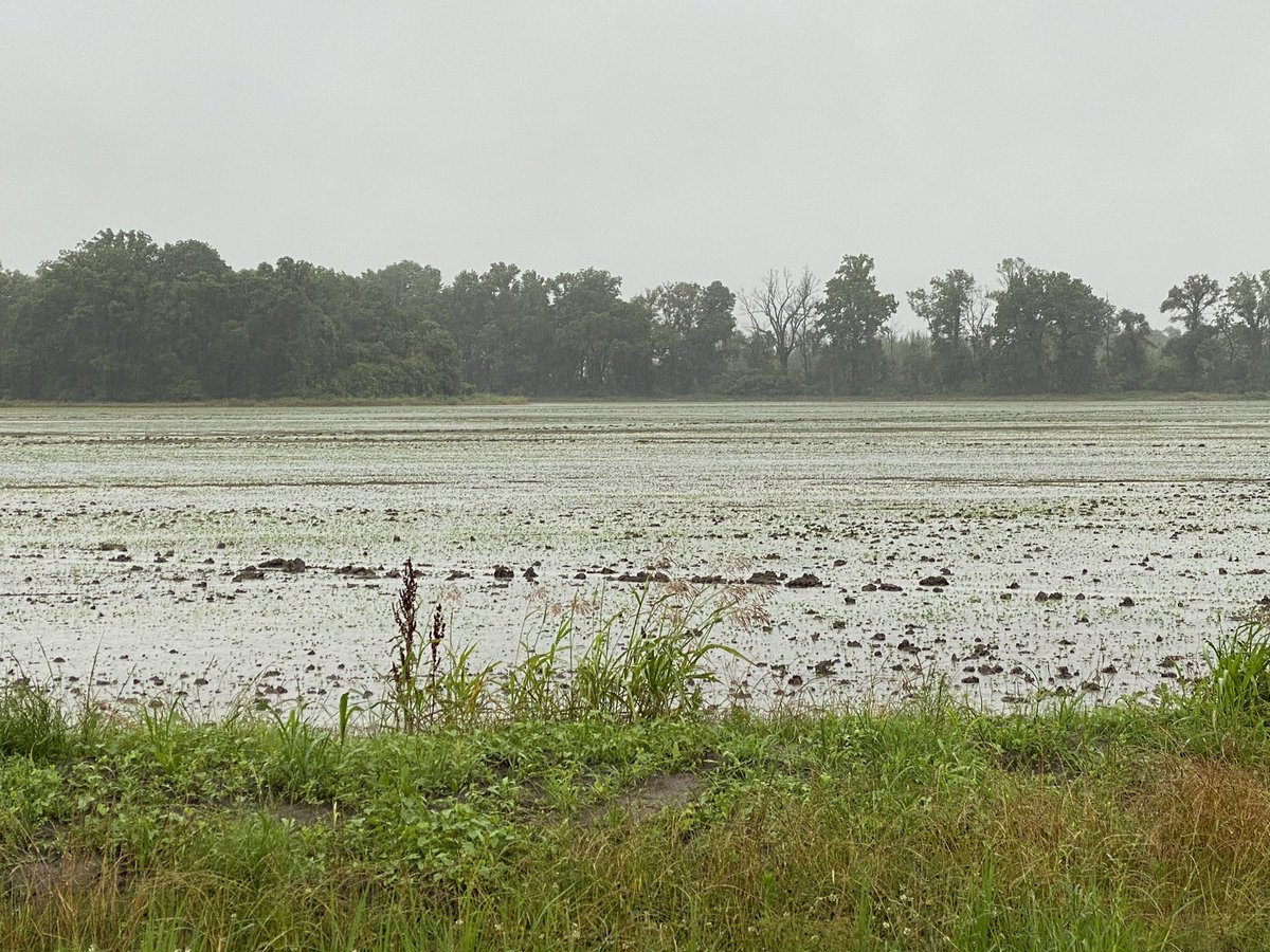Stop rain!!!  I think it’s too late...#flood 2021