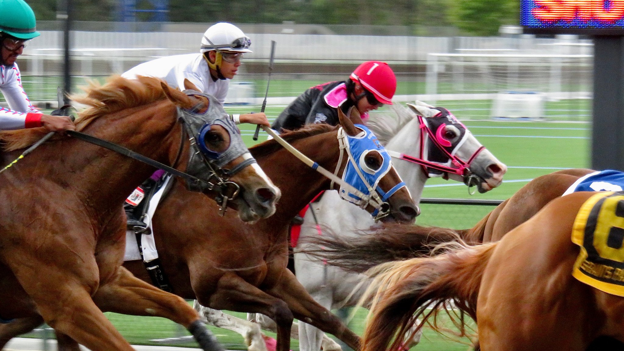 Grants Pass Downs on Twitter "grantspassdowns RacingOnTheRogue