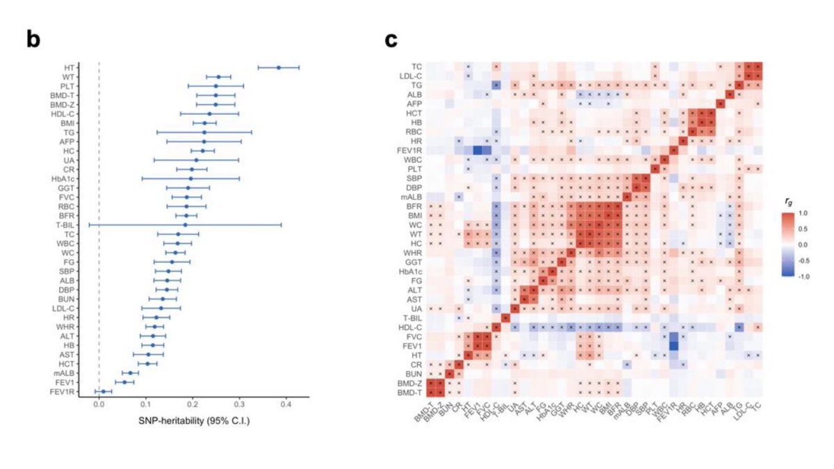 GWAS_lit tweet media