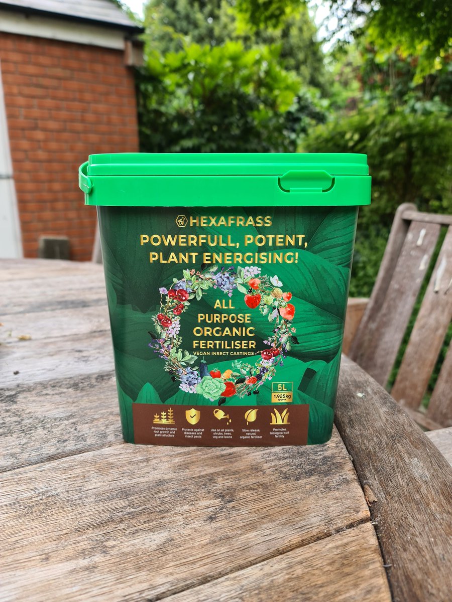 Trying out <a href="/HexaflyBiotech/">Hexafly</a>'s Hexafrass organic insect casting-based fertiliser on these babies. Looks like it is working so far 🙂. It is fairly "fragrant" but, mixed in with the potting compost, completely undetectable.