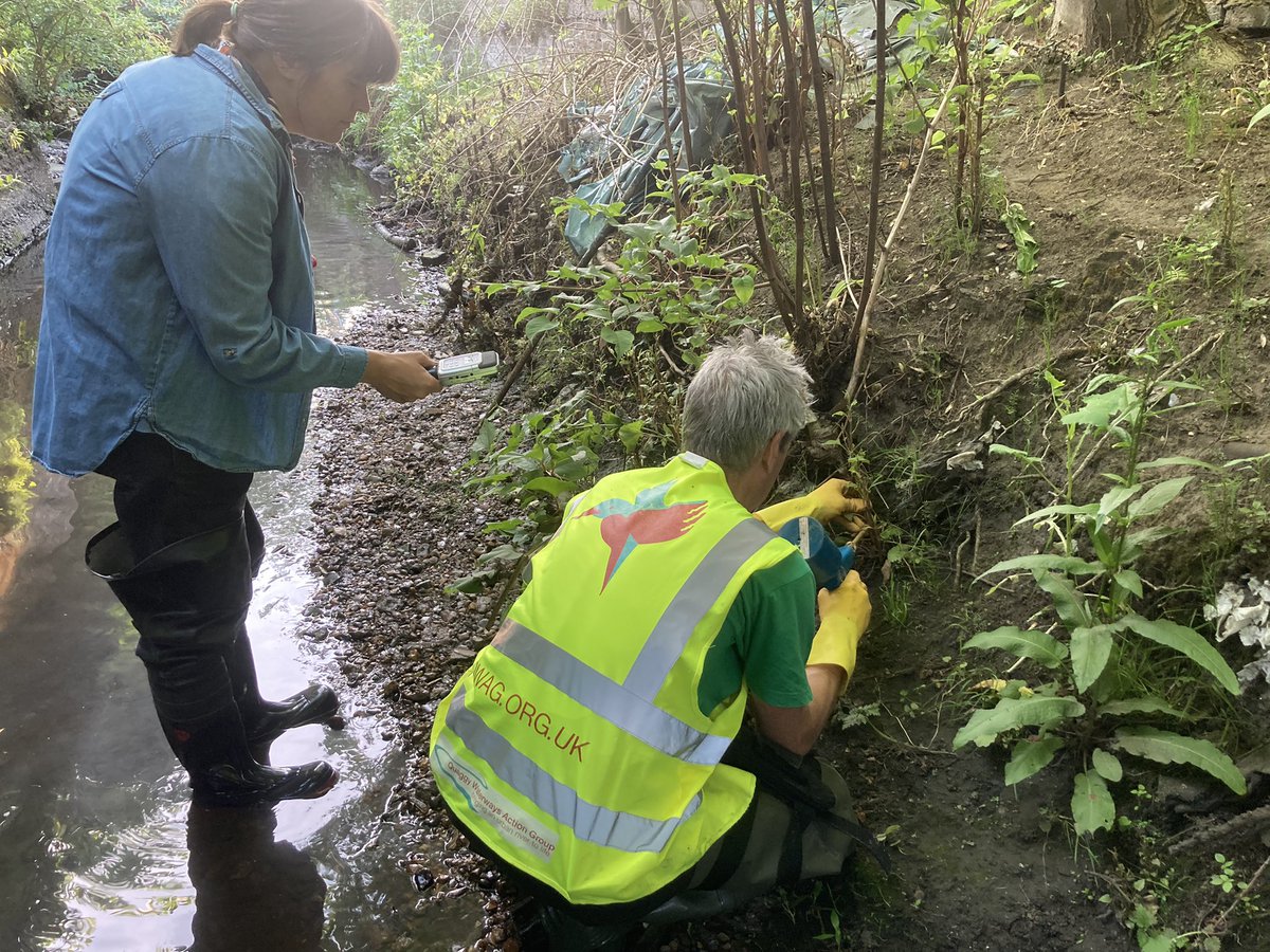 qwag's tweet photo. The second of our #3RiversCleanUp events in the #RiverQuaggy next to Lidl on the Lee High Road. 

Lots of plastic bagged up and Japanese Knotweed injected. #3RCU #HealthyRiversProject https://t.co/pq8ihlpukW