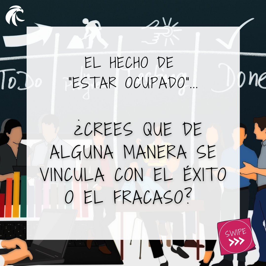 Peregrinus tweet media