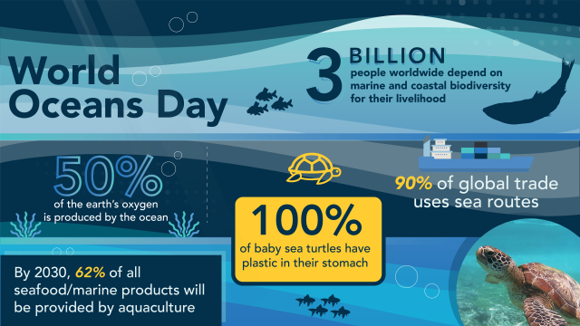 TechProGeek's tweet image. This #WorldOceansDay, take a look at why our oceans need our help. Join us and see how you can contribute to keeping our reefs clean and healthy. bit.ly/2RCGizi