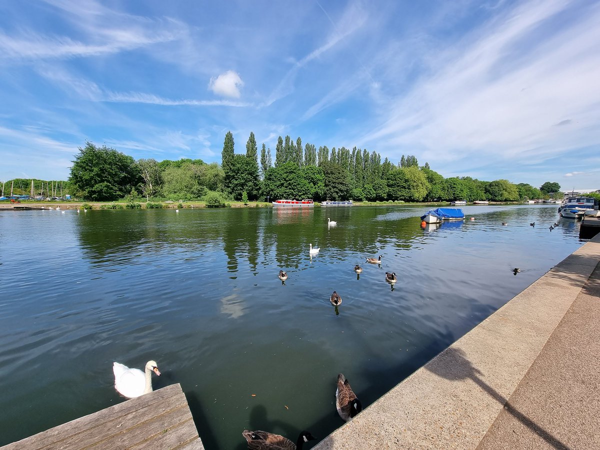 Indigo surveyed a brilliant barge restaurant &amp; bar project on the Thames this morning. A great location and opportunity for our returning client.
#barge #restaurant #bar #river #thames #London #summer #project #survey