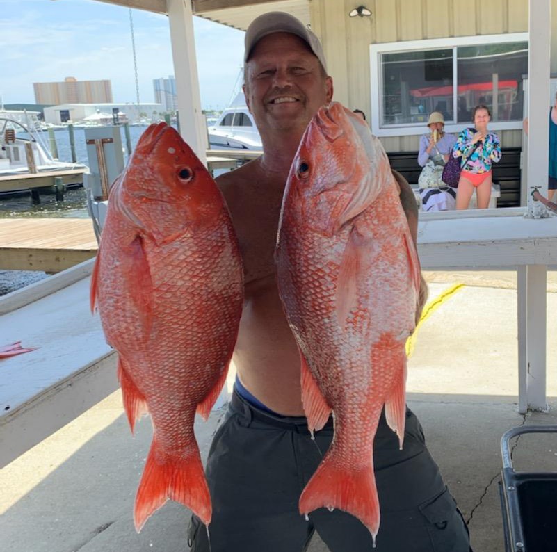 Gulf Assassin tweet media