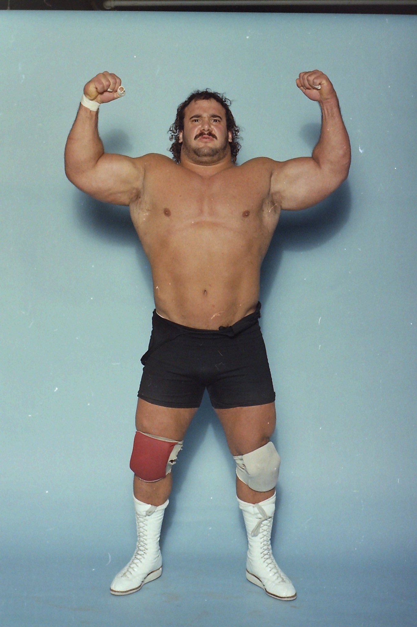 x Stampede Forever on X Ted Arcidi. Photos courtesy of Lester Foster. https t Je8elbIx90 X