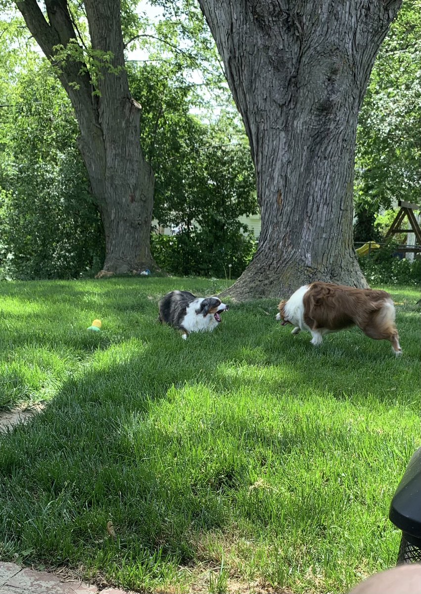iRiskpvp's tweet photo. We found a middle ground https://t.co/6WVngpXgEe
