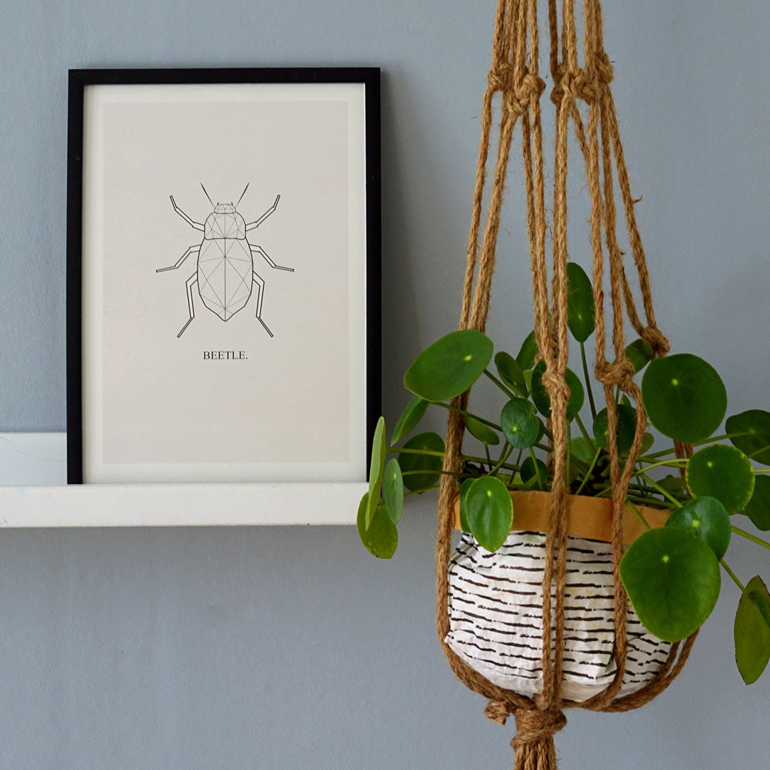 PictureFrames's tweet photo. Mind if we bug 🐛 you for a second? If you're looking for a way to spruce up your space - all it takes is one, yes, ONE piece to do that.

Sometimes it's the little things that work together to build a space with a lot of buzz 🐝 and help you march to a new beat(le). #framingjoy https://t.co/u8CVHQbRyl