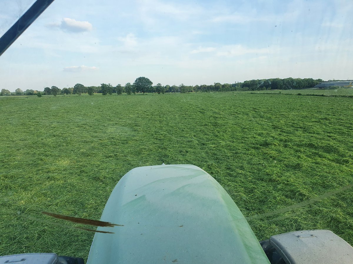 boerklaasen's tweet photo. Nog snel in de avond die een paar percelen schudden waar een dikkere snede gras op stond. Morgenmiddag de kuil in! #2eSnede #gras #oogst2021 https://t.co/2xOwQHqO9N