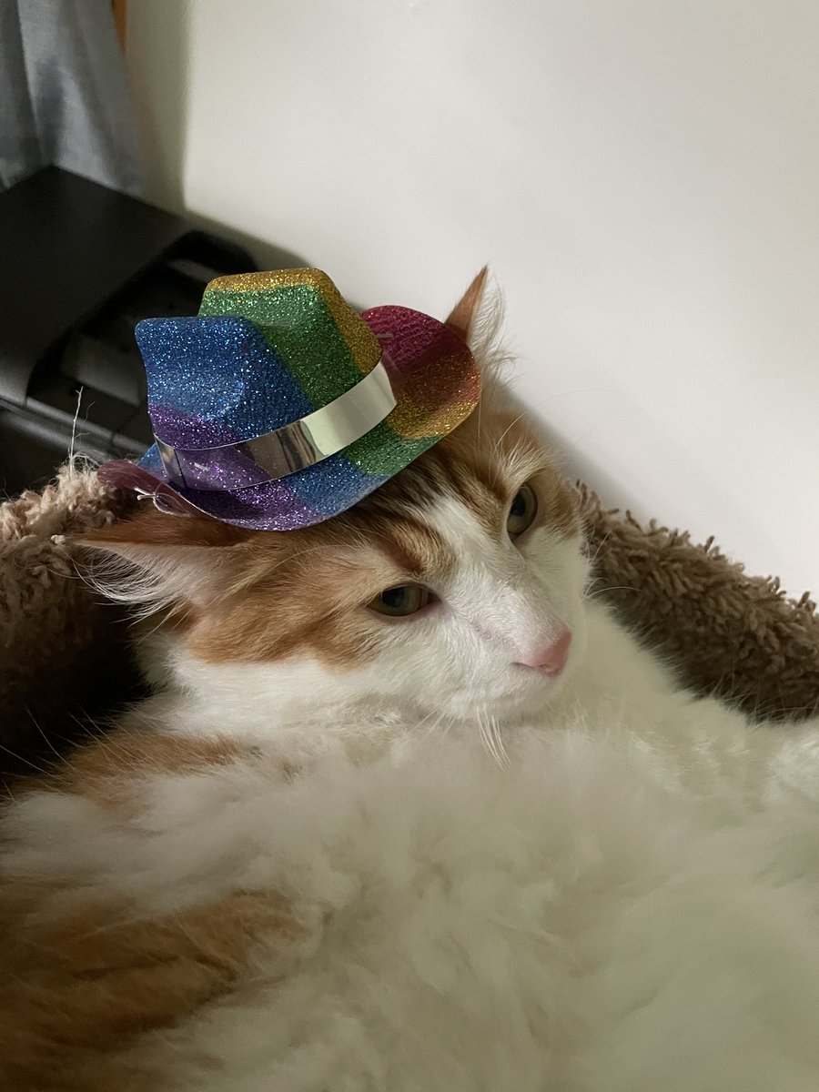 reddy to shake mien ass on a pride flote for all mine gays and trans frends