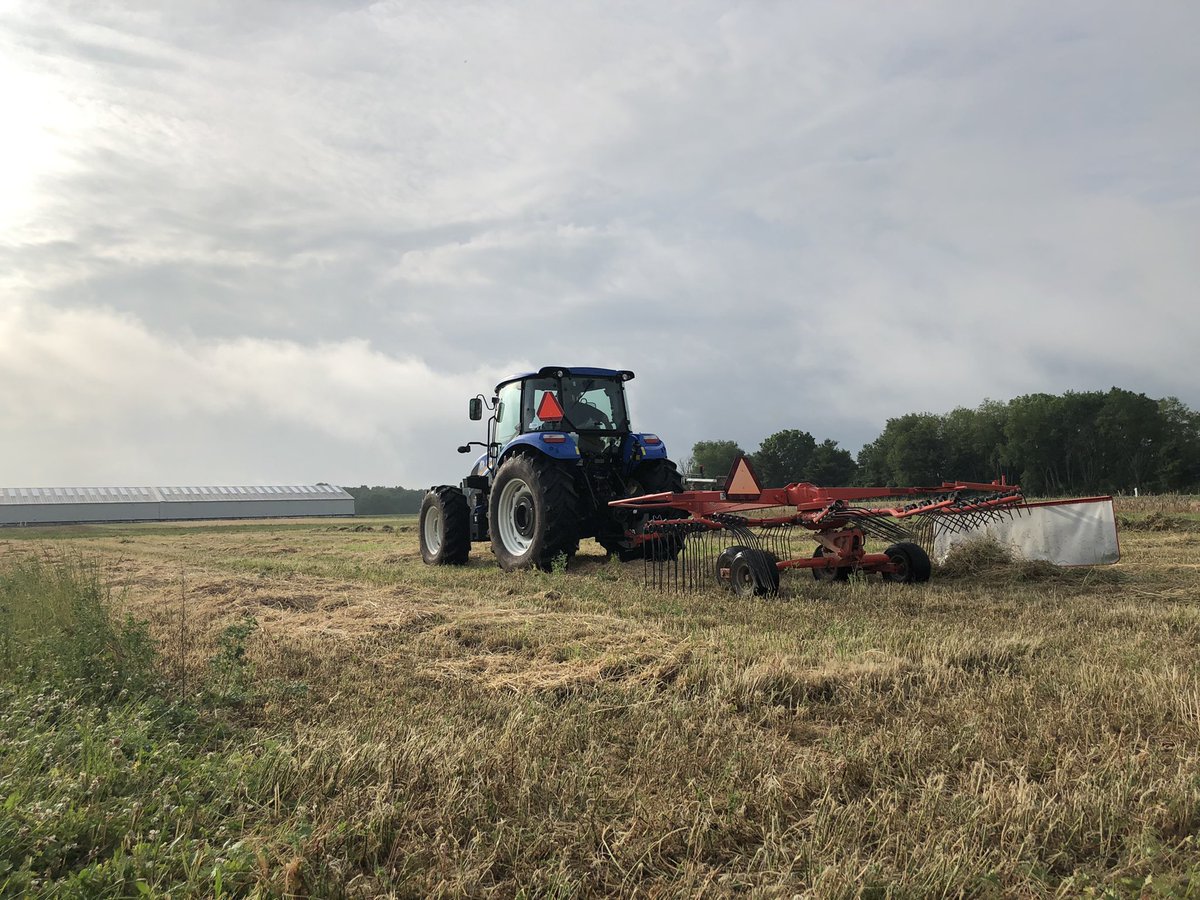 msu_kelloggfarm's tweet image. Thank you @Burnips_Equip and @NewHollandAG for providing us with new tractors! We are so grateful and excited! #MSUKBS