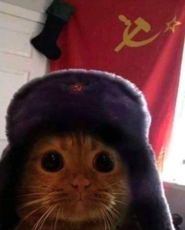 sadiazinha fofinha tweet media