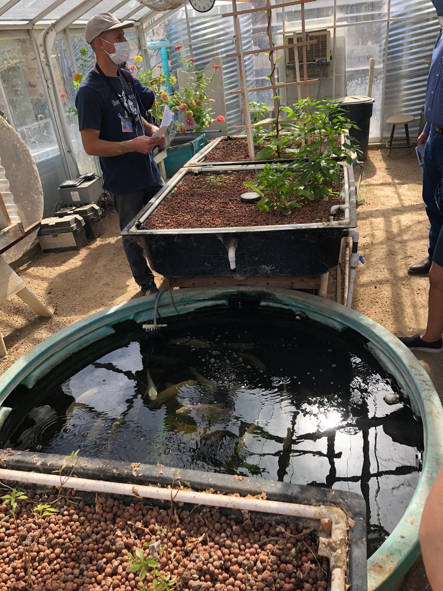 Lee Ann Howell tweet media