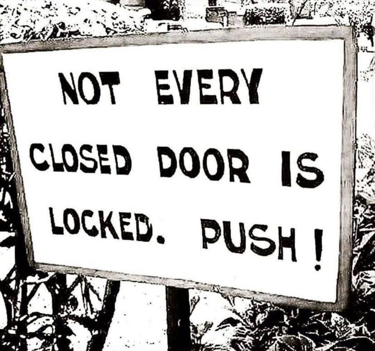 なんでやねん tweet media