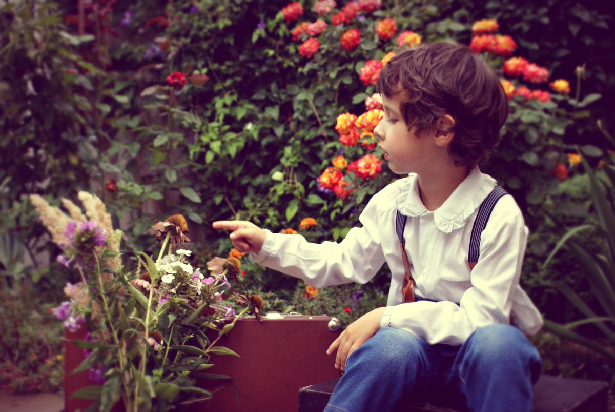 Свободен мальчик. Школьники\ с цветами фотосет. Мальчик и растения цветы фотосессия. Мальчик с цветами фотосессия летом. Ребенок идея.