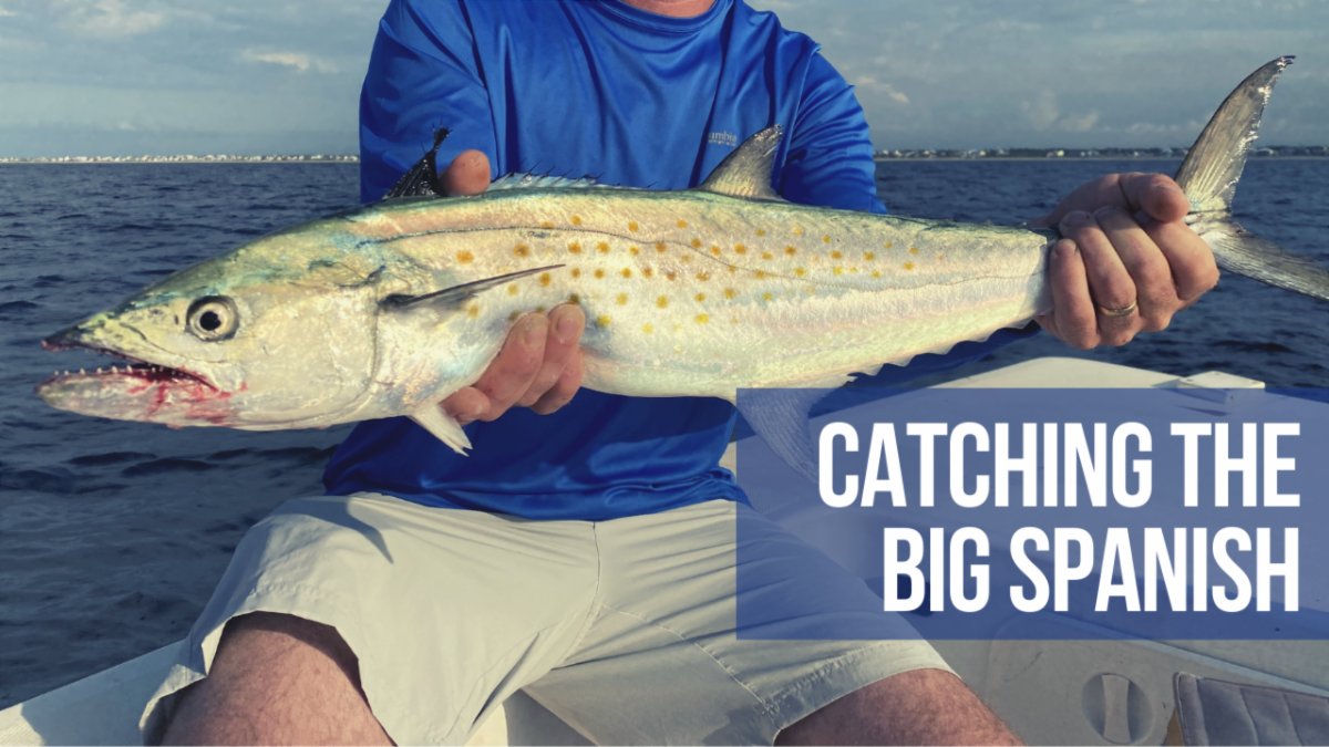 FishPoster's tweet image. Catching the Big Spanish with Capt. Rob Koraly conta.cc/3gjD1wY
