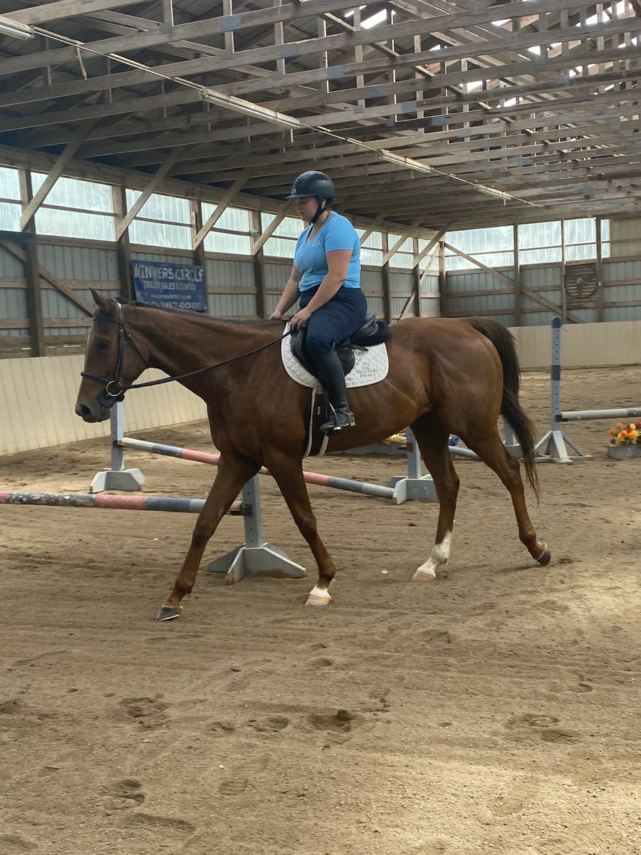 CANTER Kentucky tweet media