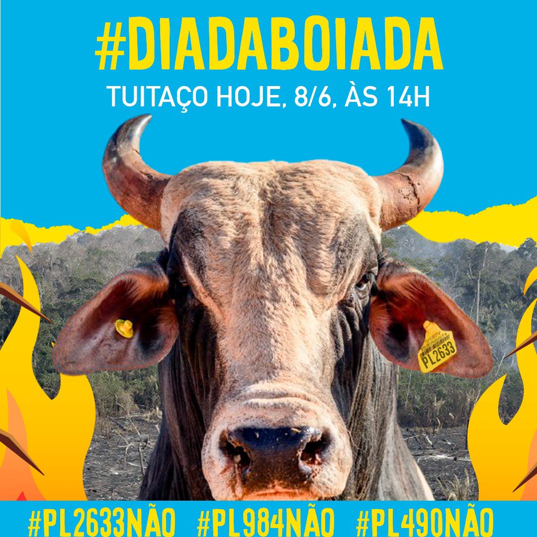 Raíssa Fayet tweet media