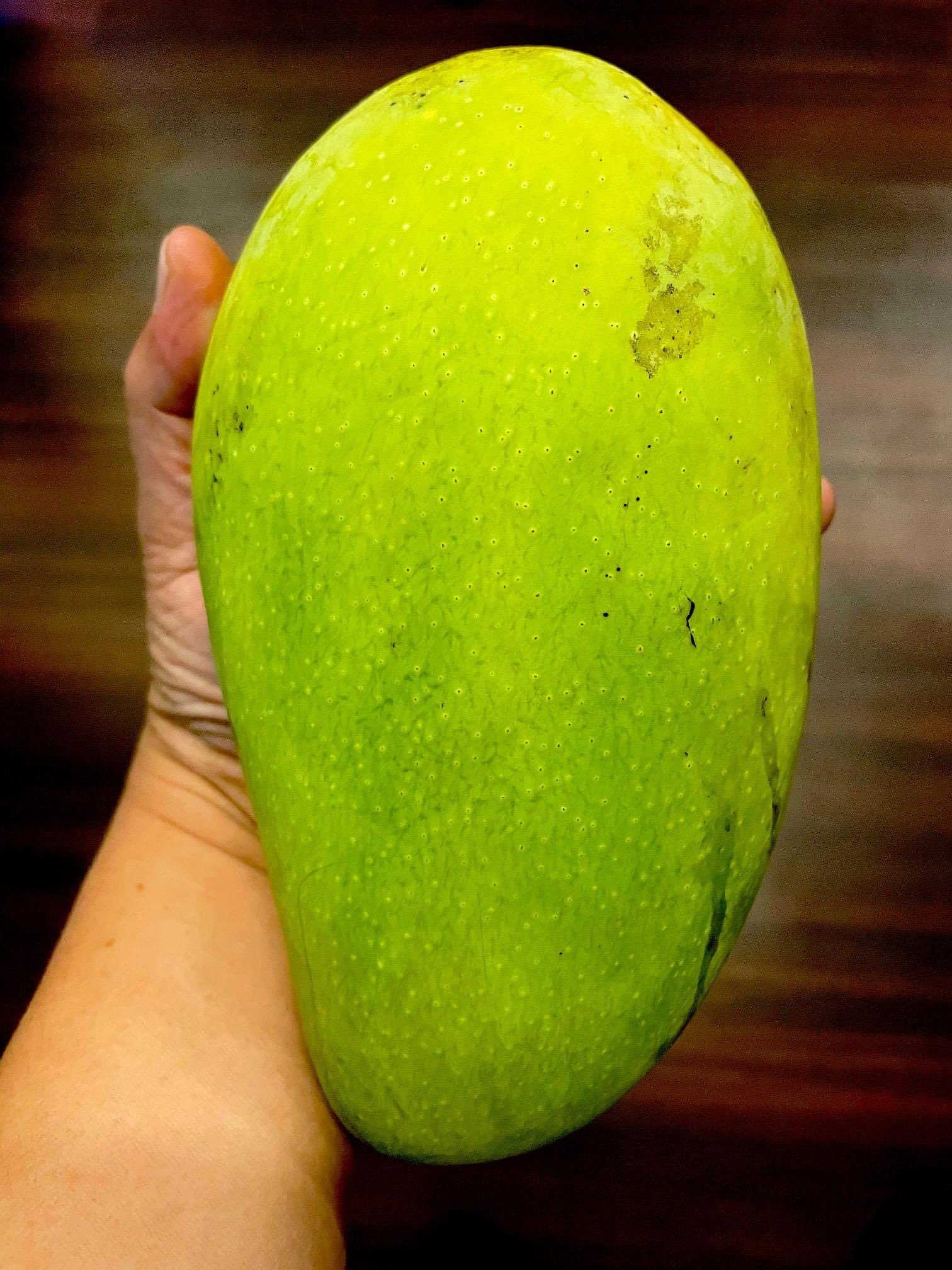 Large Mango