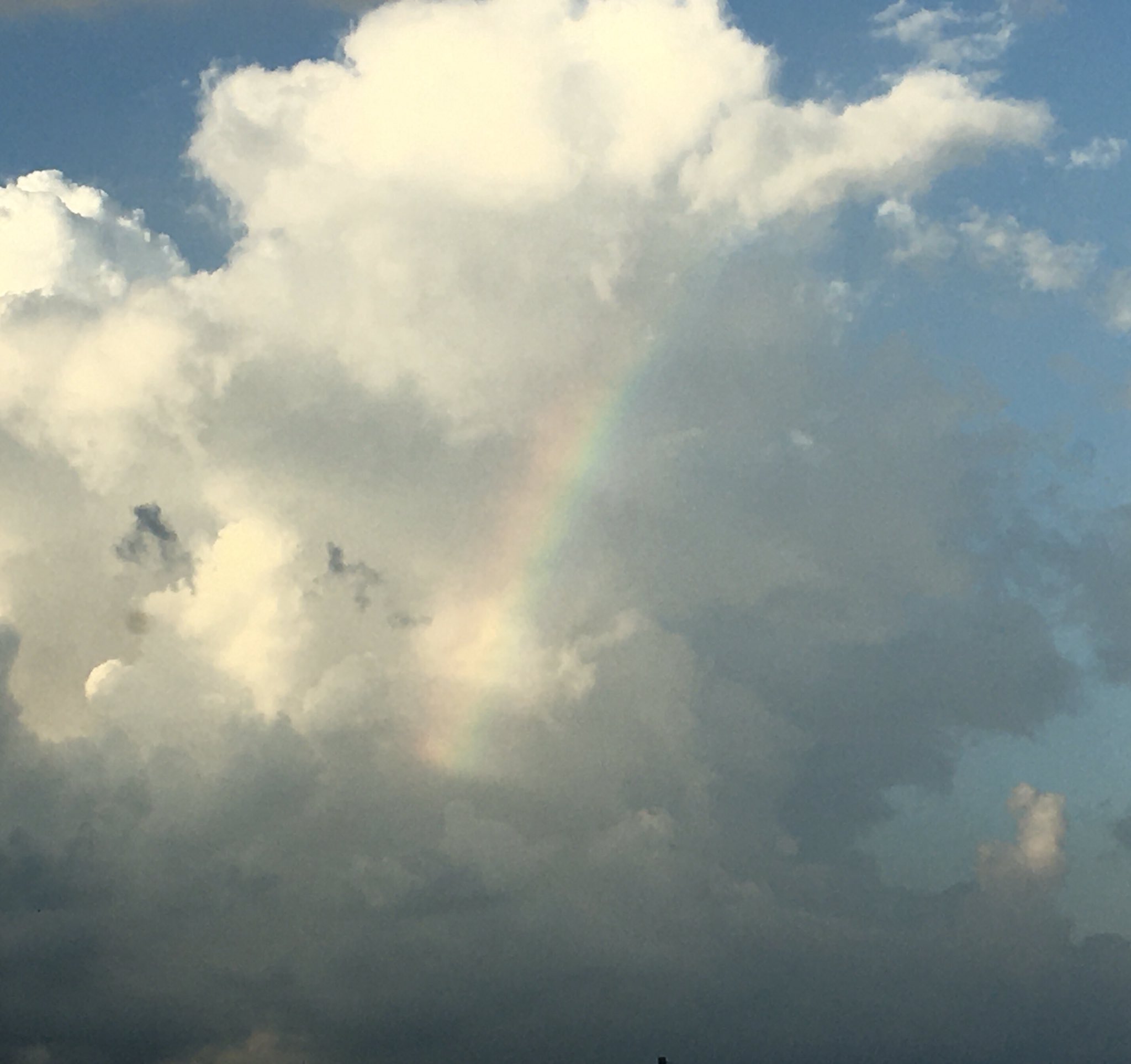 Rennie♡Kingsley (spunstarlight) / Twitter