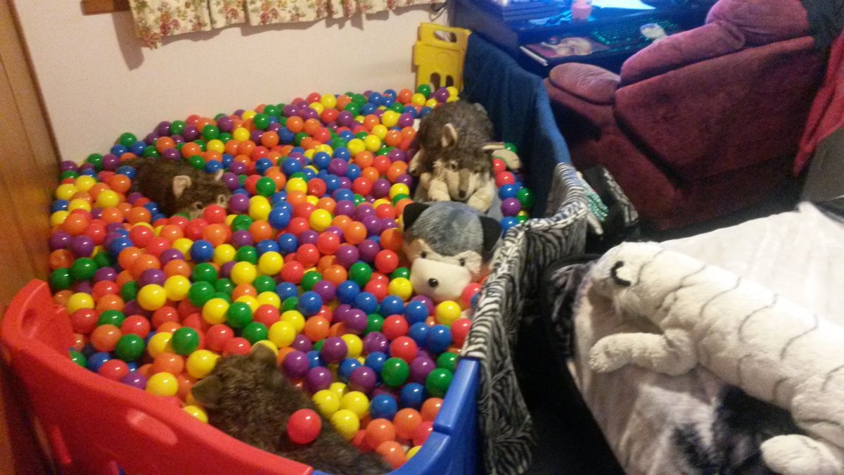 luckylittlefuzz's tweet photo. @ValestiVale Part of my room is always a ballpit https://t.co/vr1KJEG1NI